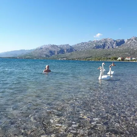 Manda & Marko Juric Vendégház