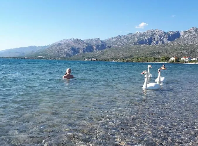 Manda & Marko Juric Гостевой дом